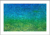DAPACU PAINTING